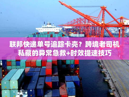 联邦快递单号追踪卡壳？跨境老司机私藏的异常急救+时效提速技巧
