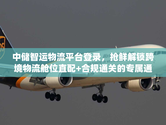 中储智运物流平台登录，抢鲜解锁跨境物流舱位直配+合规通关的专属通道