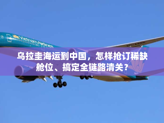 乌拉圭海运到中国，怎样抢订稀缺舱位、搞定全链路清关？