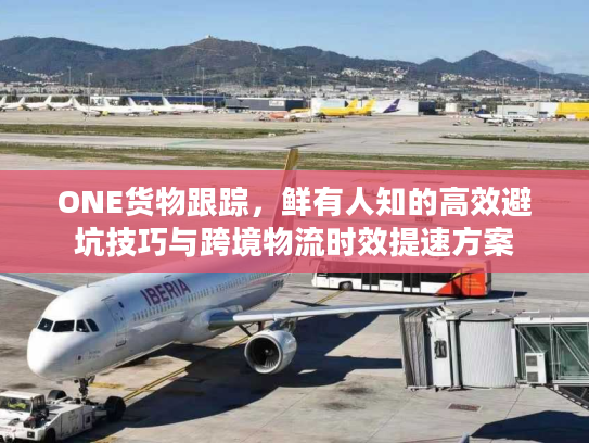 ONE货物跟踪，鲜有人知的高效避坑技巧与跨境物流时效提速方案