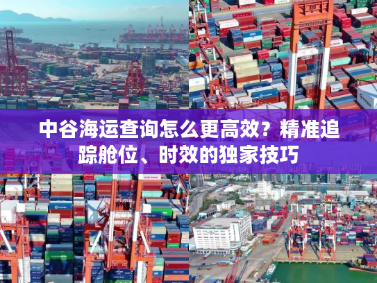 中谷海运查询怎么更高效？精准追踪舱位、时效的独家技巧