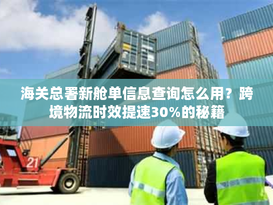 海关总署新舱单信息查询怎么用？跨境物流时效提速30%的秘籍