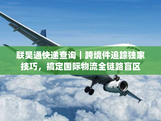 联昊通快递查询｜跨境件追踪独家技巧，搞定国际物流全链路盲区