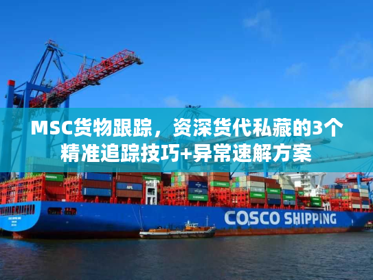 MSC货物跟踪,资深货代私藏的3个精准追踪技巧+异常速解方案 MSC货物跟踪,资深货代私藏的3个精准追踪技巧+异常速解方案