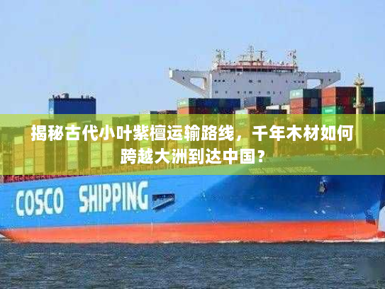 揭秘古代小叶紫檀运输路线,千年木材如何跨越大洲到达中国? 揭秘古代小叶紫檀运输路线,千年木材如何跨越大洲到达中国?