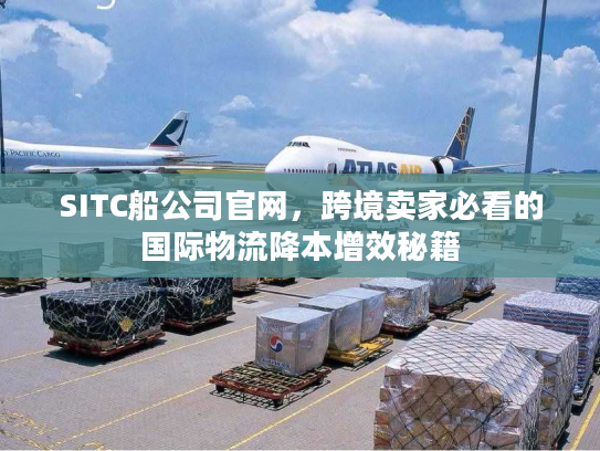 SITC船公司官网，跨境卖家必看的国际物流降本增效秘籍