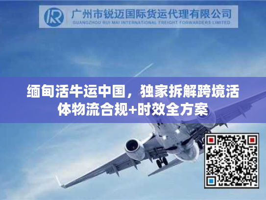 缅甸活牛运中国，独家拆解跨境活体物流合规+时效全方案
