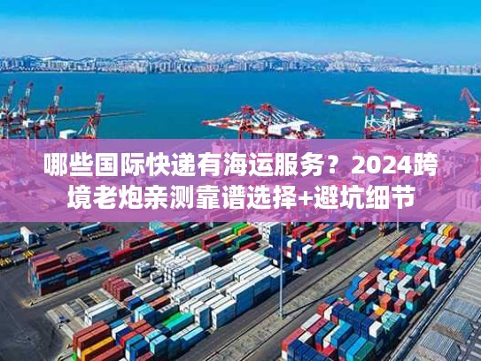 哪些国际快递有海运服务？2024跨境老炮亲测靠谱选择+避坑细节