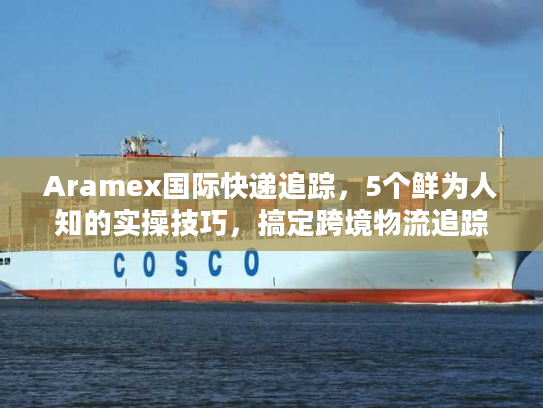 Aramex国际快递追踪，5个鲜为人知的实操技巧，搞定跨境物流追踪难题
