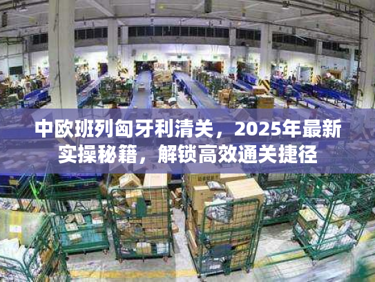 中欧班列匈牙利清关，2025年最新实操秘籍，解锁高效通关捷径