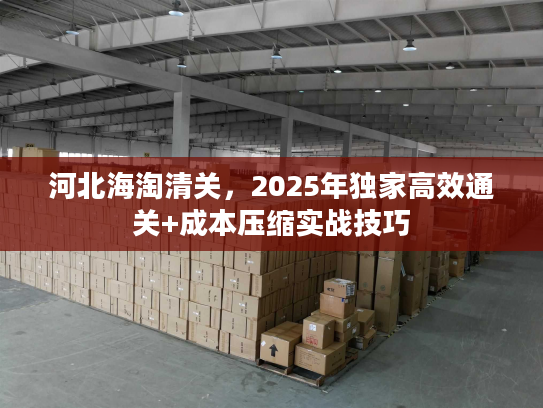 河北海淘清关，2025年独家高效通关+成本压缩实战技巧