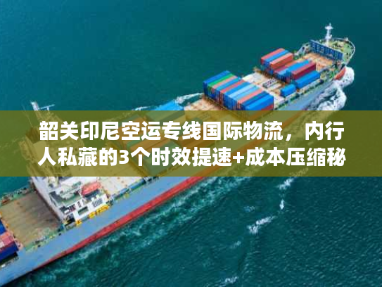 韶关印尼空运专线国际物流,内行人私藏的3个时效提速+成本压缩秘籍 韶关印尼空运专线国际物流,内行人私藏的3个时效提速+成本压缩秘籍