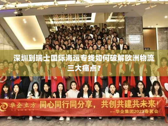深圳到瑞士国际海运专线如何破解欧洲物流三大痛点？
