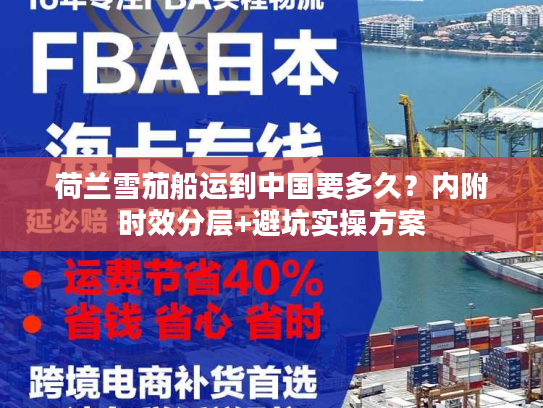 荷兰雪茄船运到中国要多久？内附时效分层+避坑实操方案