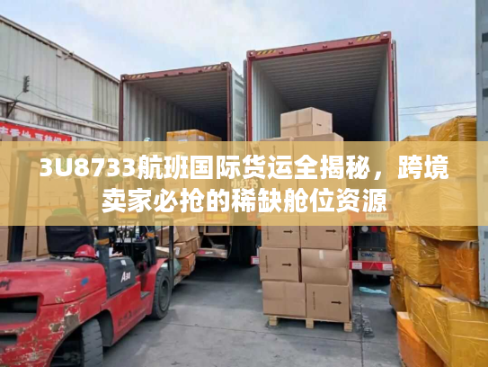 3U8733航班国际货运全揭秘，跨境卖家必抢的稀缺舱位资源