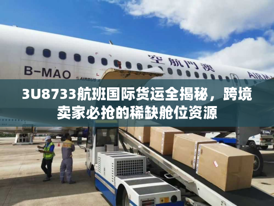 3U8733航班国际货运全揭秘，跨境卖家必抢的稀缺舱位资源