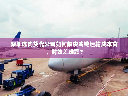 深圳冻肉货代公司如何解决冷链运输成本高、时效差难题? 深圳冻肉货代公司如何解决冷链运输成本高、时效差难题?