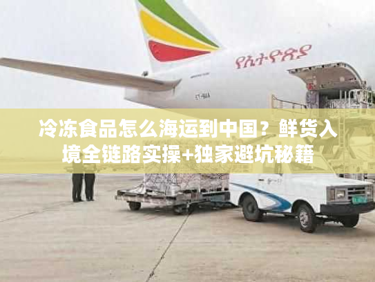 冷冻食品怎么海运到中国？鲜货入境全链路实操+独家避坑秘籍