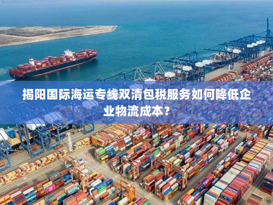 揭阳国际海运专线双清包税服务如何降低企业物流成本？