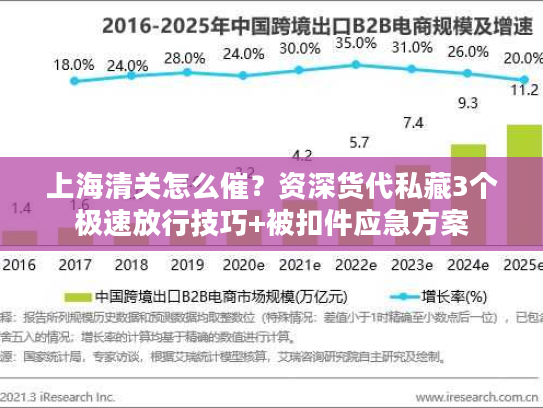 上海清关怎么催？资深货代私藏3个极速放行技巧+被扣件应急方案