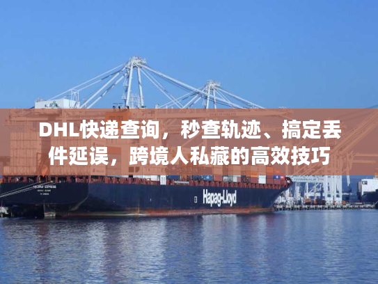 DHL快递查询，秒查轨迹、搞定丢件延误，跨境人私藏的高效技巧