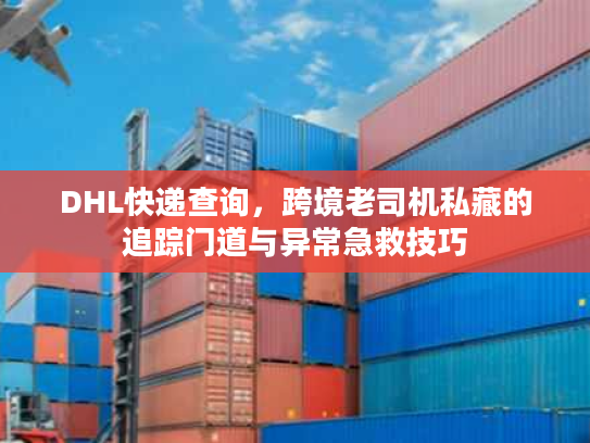DHL快递查询，跨境老司机私藏的追踪门道与异常急救技巧