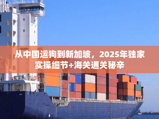 从中国运狗到新加坡，2025年独家实操细节+海关通关秘辛