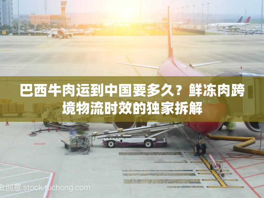 巴西牛肉运到中国要多久？鲜冻肉跨境物流时效的独家拆解
