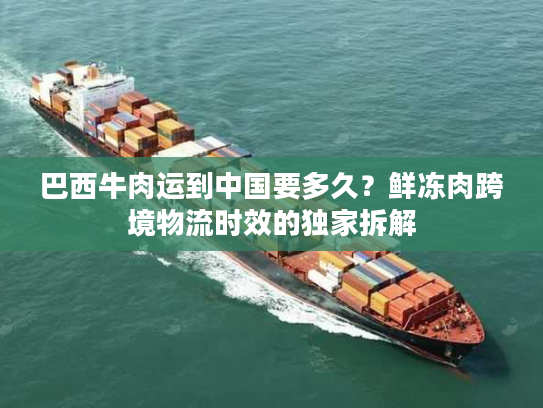巴西牛肉运到中国要多久？鲜冻肉跨境物流时效的独家拆解