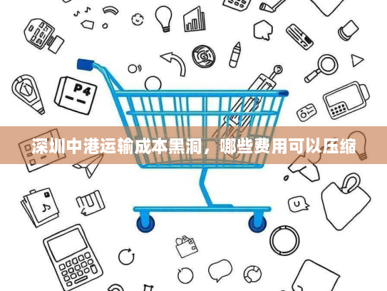 深圳中港运输成本黑洞,哪些费用可以压缩 深圳中港运输成本黑洞,哪些费用可以压缩