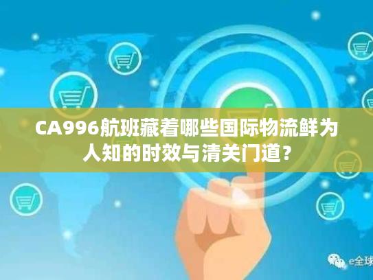CA996航班藏着哪些国际物流鲜为人知的时效与清关门道? CA996航班藏着哪些国际物流鲜为人知的时效与清关门道?