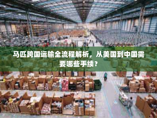 马匹跨国运输全流程解析,从美国到中国需要哪些手续? 马匹跨国运输全流程解析,从美国到中国需要哪些手续?