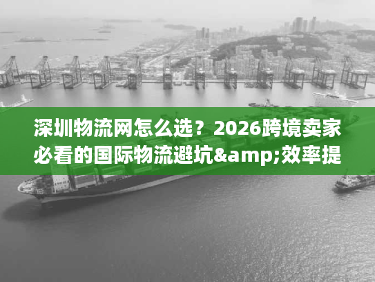 深圳物流网怎么选？2026跨境卖家必看的国际物流避坑&效率提升全指南