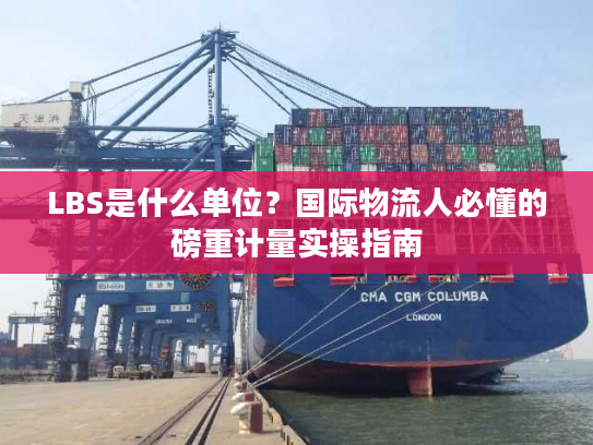 LBS是什么单位?国际物流人必懂的磅重计量实操指南 LBS是什么单位?国际物流人必懂的磅重计量实操指南