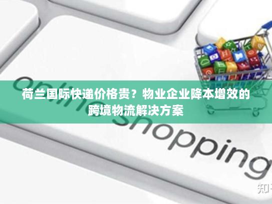 荷兰国际快递价格贵?物业企业降本增效的跨境物流解决方案 荷兰国际快递价格贵?物业企业降本增效的跨境物流解决方案