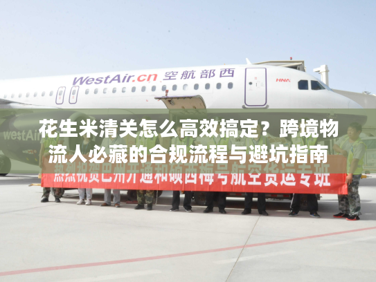 花生米清关怎么高效搞定？跨境物流人必藏的合规流程与避坑指南