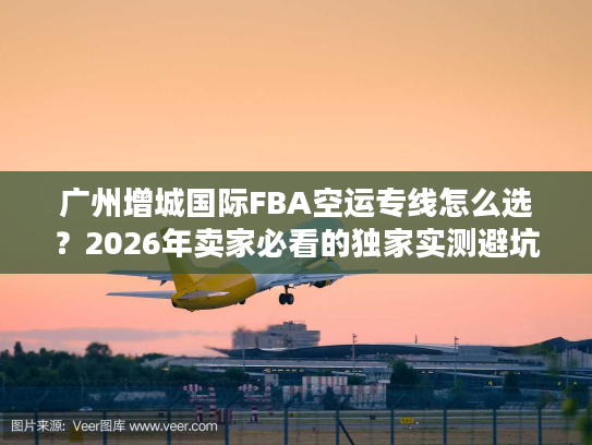 广州增城国际FBA空运专线怎么选?2026年卖家必看的独家实测避坑全攻略 广州增城国际FBA空运专线怎么选?2026年卖家必看的独家实测避坑全攻略