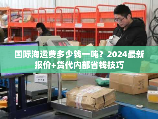 国际海运费多少钱一吨？2024最新报价+货代内部省钱技巧