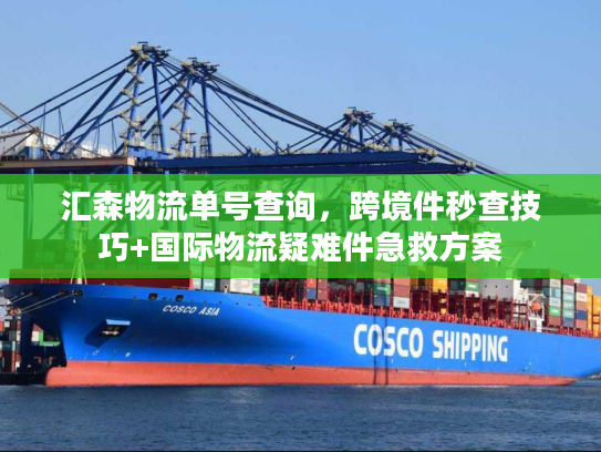汇森物流单号查询，跨境件秒查技巧+国际物流疑难件急救方案