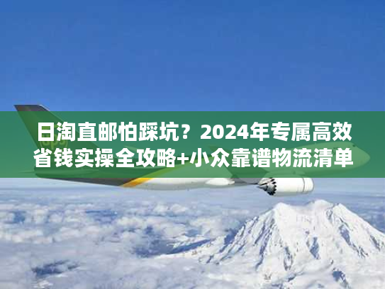 日淘直邮怕踩坑？2024年专属高效省钱实操全攻略+小众靠谱物流清单