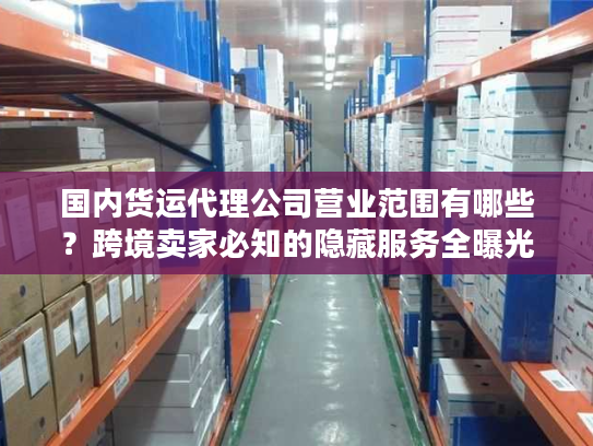 国内货运代理公司营业范围有哪些？跨境卖家必知的隐藏服务全曝光