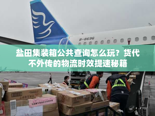 盐田集装箱公共查询怎么玩？货代不外传的物流时效提速秘籍