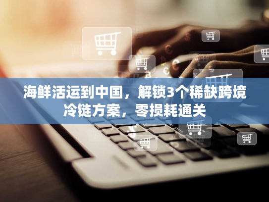 海鲜活运到中国，解锁3个稀缺跨境冷链方案，零损耗通关