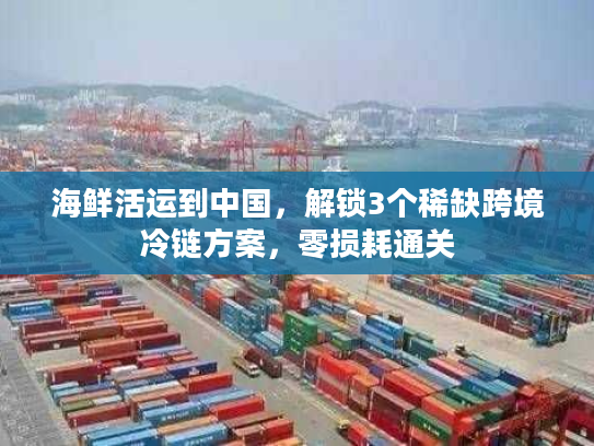 海鲜活运到中国，解锁3个稀缺跨境冷链方案，零损耗通关