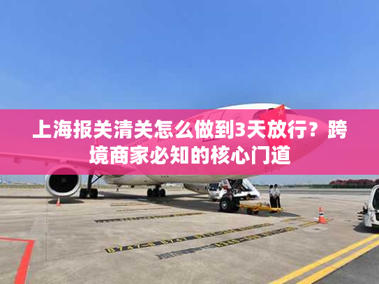 上海报关清关怎么做到3天放行？跨境商家必知的核心门道