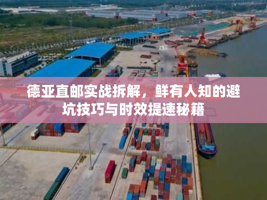 德亚直邮实战拆解，鲜有人知的避坑技巧与时效提速秘籍