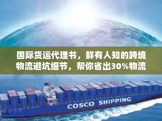 国际货运代理书，鲜有人知的跨境物流避坑细节，帮你省出30%物流成本