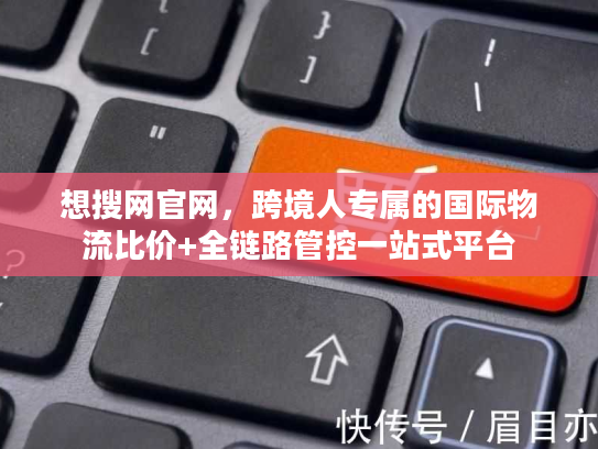想搜网官网，跨境人专属的国际物流比价+全链路管控一站式平台