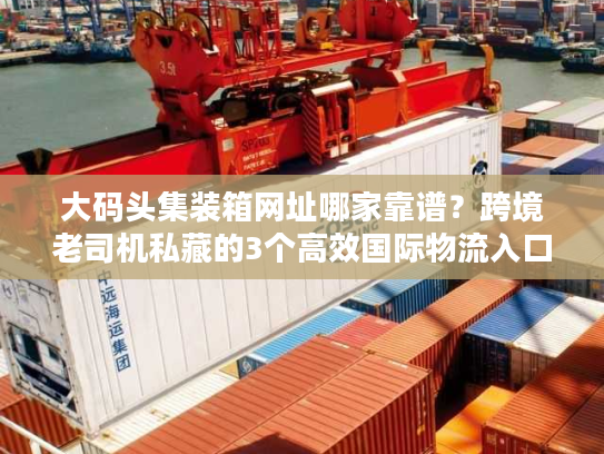大码头集装箱网址哪家靠谱？跨境老司机私藏的3个高效国际物流入口