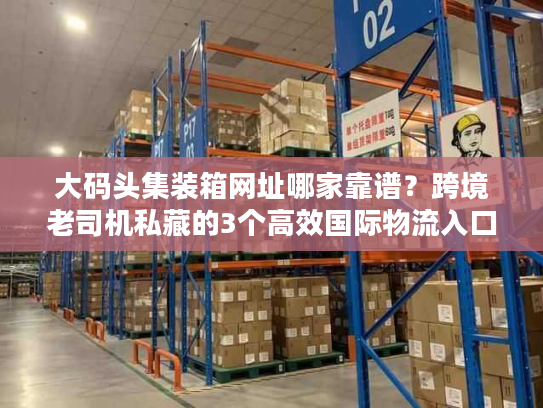 大码头集装箱网址哪家靠谱？跨境老司机私藏的3个高效国际物流入口